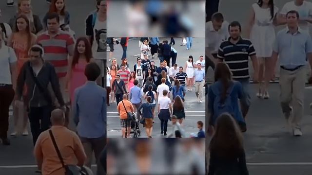 Какой эффект от ежовика гребенчатого? смотреть онлайн