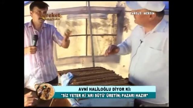 Arı Sütü - Arı Sütü (Royal jelly) Nedir Nasıl Üretilir? 11. Bölüm смотреть онлайн