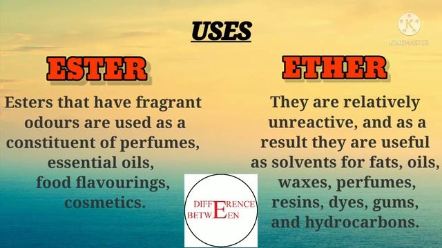 DB#20 What is the Difference Between Ester and Ether смотреть онлайн