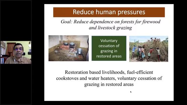 Junglescapes' Presentation on Assisted Natural Regeneration at the SER World Conference 2021 смотреть онлайн