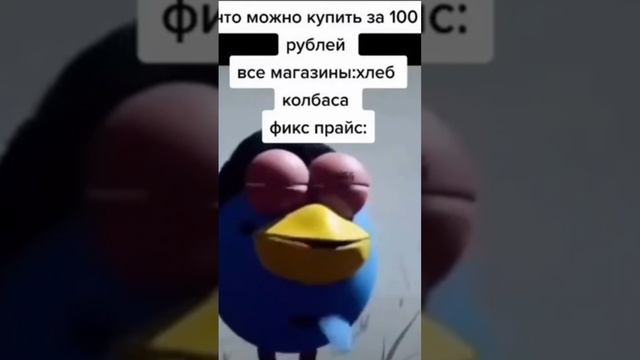 что можно купить