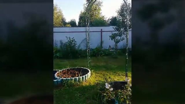 Июль, 2018!Природа подмосковья! смотреть онлайн
