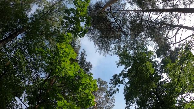 Баланс белого смотреть онлайн