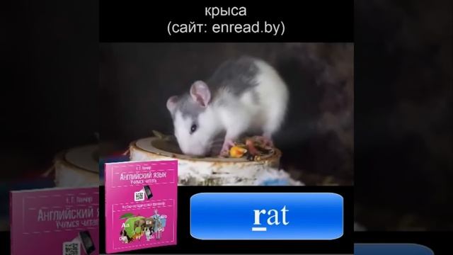 Задание R1 / Ганчар Н.П. Английский язык. Учимся читать смотреть онлайн