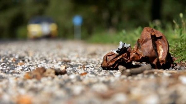 Global environmental problems HD