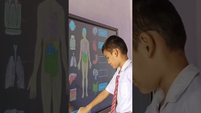 Parts Of Body #edtech #mygov #learning