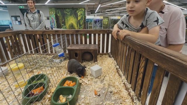 ОТДЫХ №30 ПУТЕШЕСТВУЕМ ПО НАШЕЙ ОБЛАСТИ, ЗАЕХАЛИ В ЗООПАРК, ДРАЗНИМ ПОПУГАЯ, НАС СХВАТИЛ ЛЕМУР