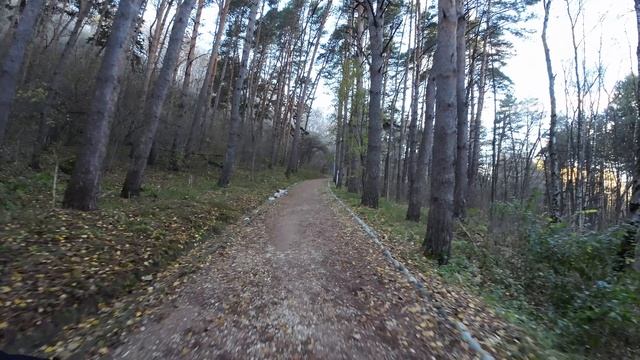 Премьера песни "Тайна природы". смотреть онлайн