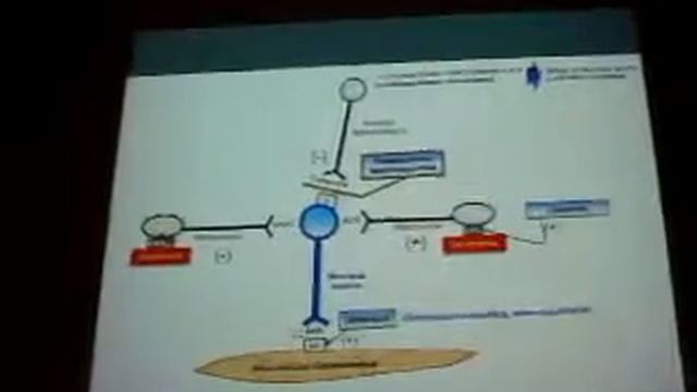 Morfofisiologia 2 - digestivo 1(Fisiología T UPAO) parte 4 смотреть онлайн