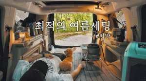 Одиночный автомобильный кемпинг жарким летом . Уютный отдых с собакой . Лесной поход ASMR