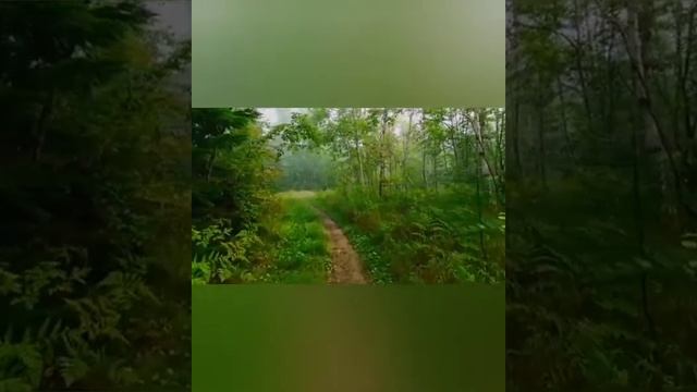 Аудиокнига"Ещё встретимся" Глава 11 смотреть онлайн
