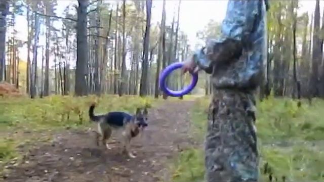 4 октября 2013, Нита в лесу) смотреть онлайн