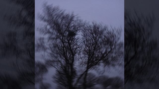 belki bir gün смотреть онлайн