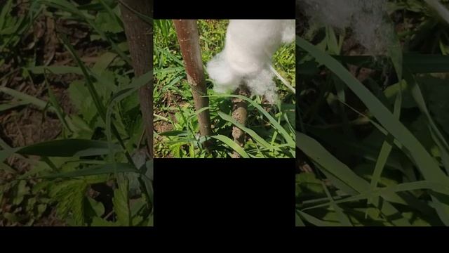 Человек на земле