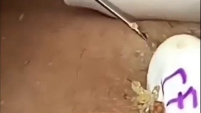 Чистка лица. 1. смотреть онлайн