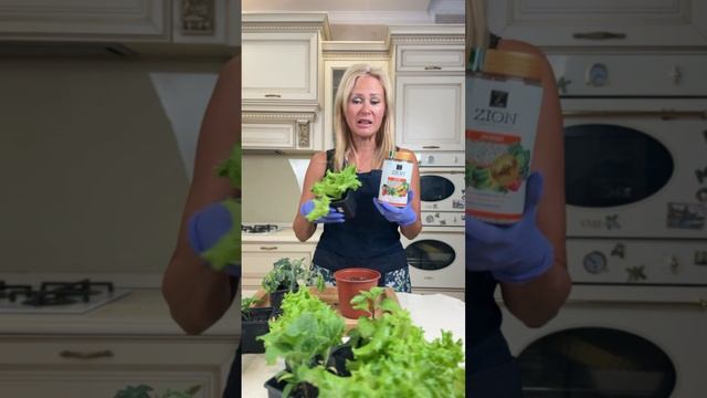 Правила пересадки растений. Давайте разберем на примере огорода на подоконнике смотреть онлайн