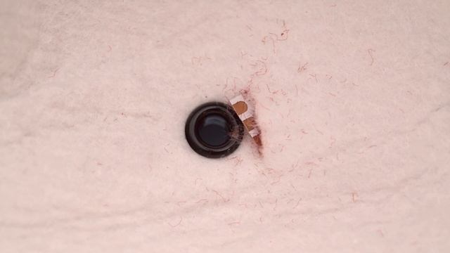 Neon Neopixel Mickey Ears @adafruit #adafruit смотреть онлайн