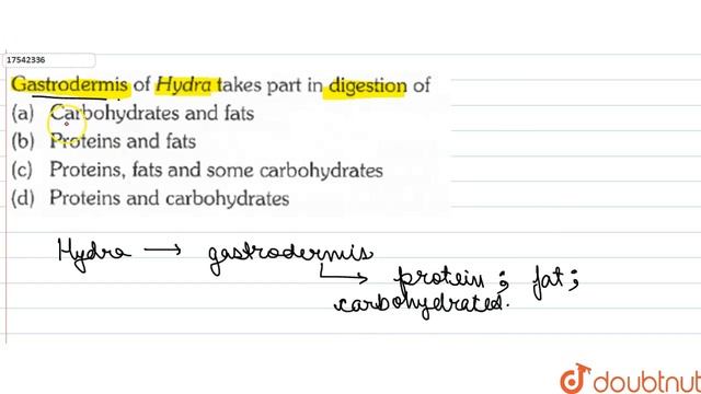 Gastrodermis of Hydra takes part in digestion of смотреть онлайн