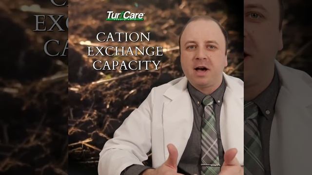 What is Cation Exchange Capacity (CEC) in Soil? | Lawn and Soil Science | JoeKNOWS! смотреть онлайн
