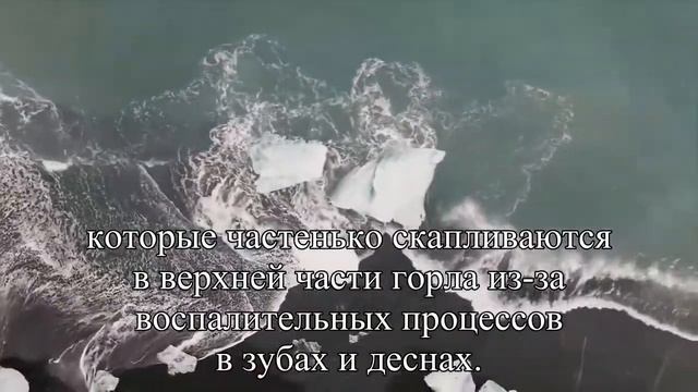 Здоровые зубы – здоровое тело — Статья смотреть онлайн