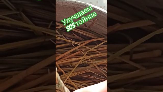 Долголетие||Улучшаем SOSтоЯние||Высшая нервная деятельность#п #психология #я#долголетие