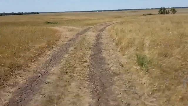 Казахстан 2019