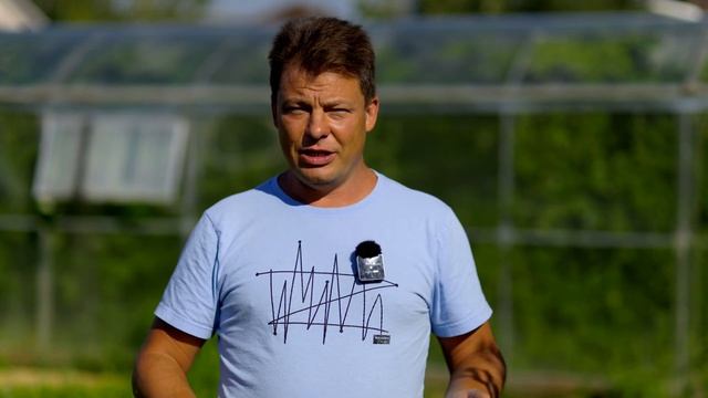 В августе важно защитить свой огород чтобы продлить плодоношение, вплоть до октября смотреть онлайн