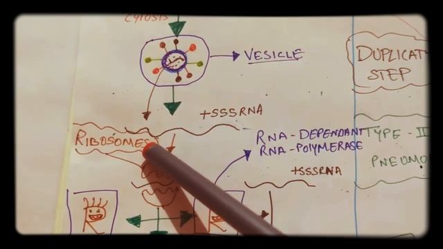 JANIYE CORONA VIRUS || REPLICATION PROCESS IN HUMAN BODY. смотреть онлайн