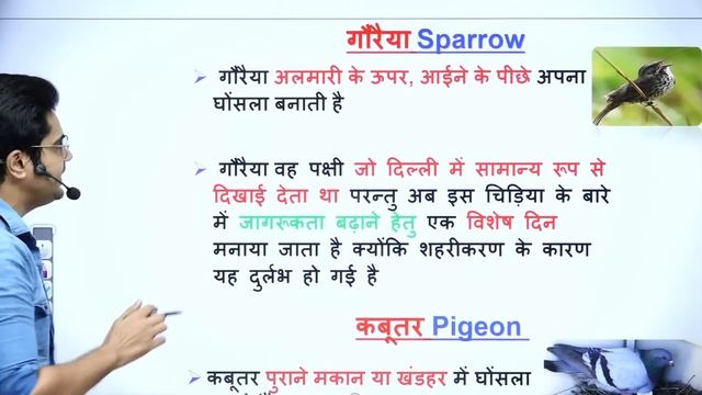 CTET December NCERT पक्षी by Sachin choudhary live 8pm смотреть онлайн