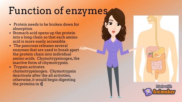 Provision of support for healthy microbiome balance (group 4) смотреть онлайн