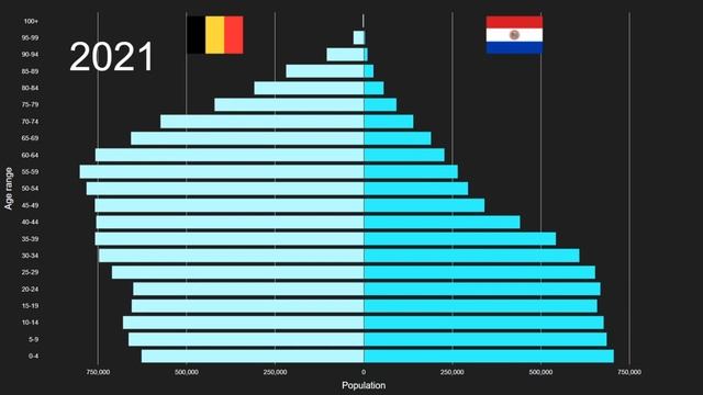 Belgium vs Paraguay Population Pyramid 1950 to 2100 смотреть онлайн