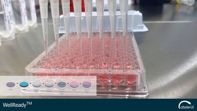 WellReady™ Protocol смотреть онлайн