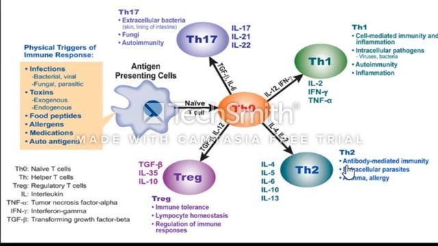 cytokines смотреть онлайн