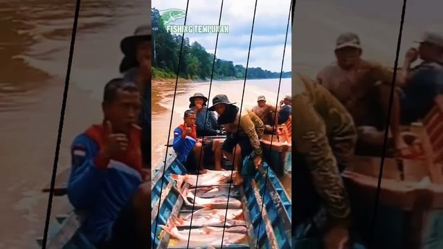 Bukan Bolang tapi Tulang (tua tua petualang) смотреть онлайн