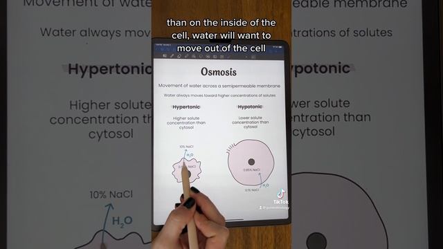Basics of osmosis #biology смотреть онлайн