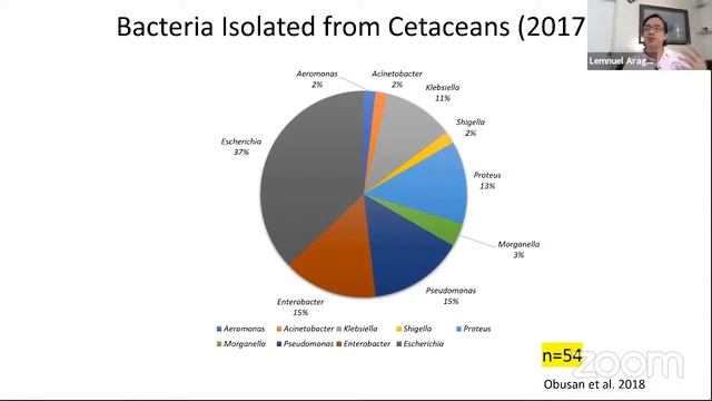 Dr. Lemuel Aragones: Conservation of Marine and Terrestrial Ecosystems in PH Based on Select Cases смотреть онлайн