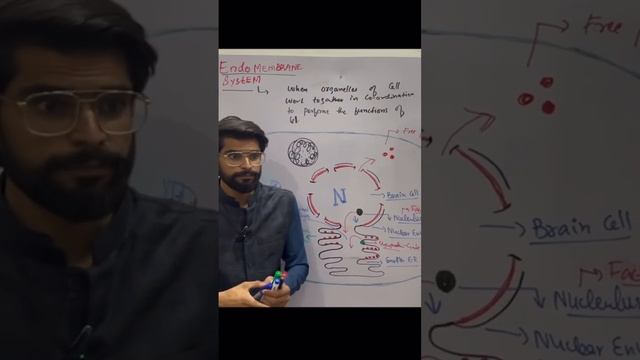 CONCEPT OF ENDOMEMBRANE SYSTEM BY SIR DANISH WILL BE UPLOADED SOON KINDLY SUBSCRIBE AND SHARE #mdca смотреть онлайн