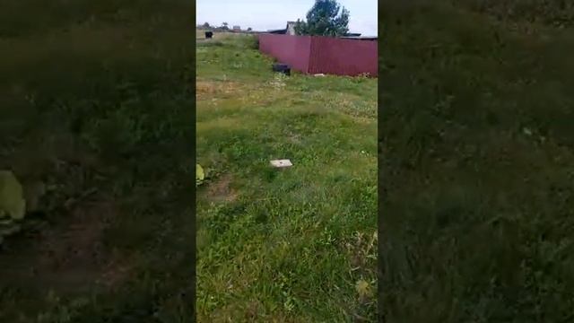Зеленый путь. Добрые дела. смотреть онлайн