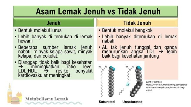 Metabolisme Lemak1 смотреть онлайн
