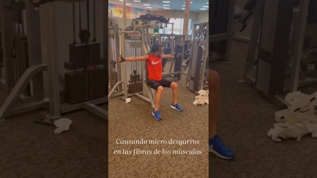 La Clave para desarrollar los músculos #schorts #atletas #training #musculo #training 🇨🇺 🌍 смотреть онлайн