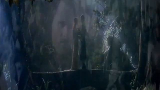 Он и она (Арагорн и Арвен) - Властелин колец