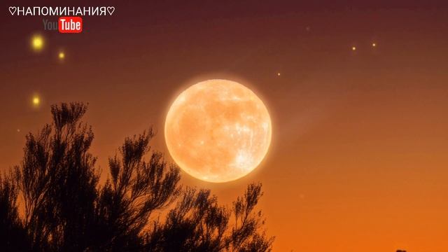 СУРА ЙА СИН ДЛЯ УСПОКОЕНИЯ ДУШИ ПЕРЕД СНОМ