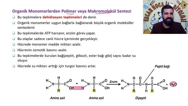 2) Canlıların Ortak Özellikleri 2 (Biyoloji ÖABT Dersleri) смотреть онлайн