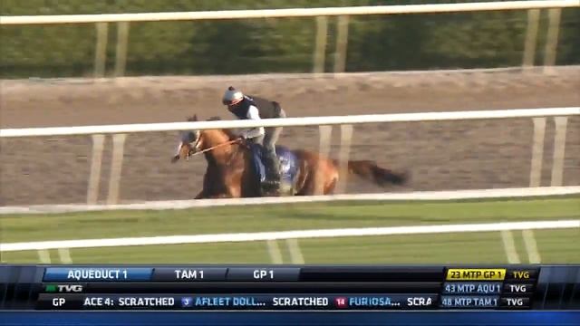 WORKOUT/ANALYSIS: California Chrome (1/14/17) смотреть онлайн