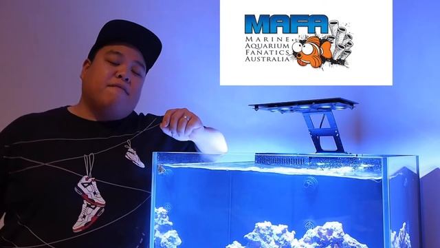 FTRTV - EP 5 Fishless Cycling a Reef Aquarium смотреть онлайн