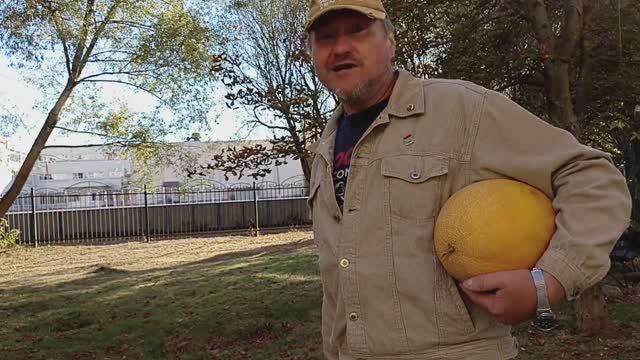 Дядя Витя купил спелую дыню, а тут журналистка вопросы задает