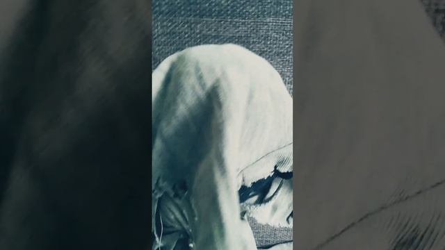 серый илоф вернулся и говорит про планы своего хозяина чёрного кривжа смотреть онлайн