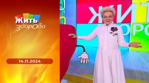 Жить здорово! Выпуск от 14.11.2024