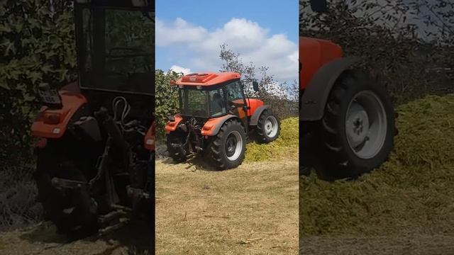 Same argon 80 смотреть онлайн