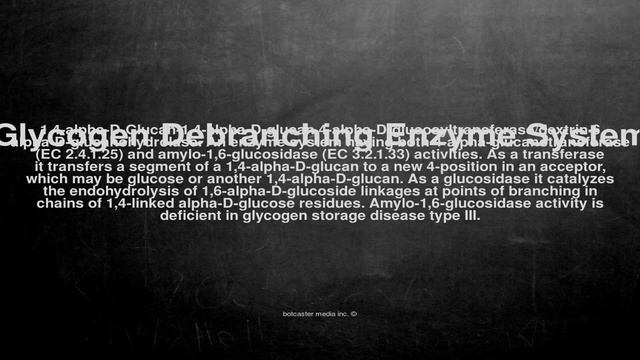 Medical vocabulary: What does Glycogen Debranching Enzyme System mean смотреть онлайн